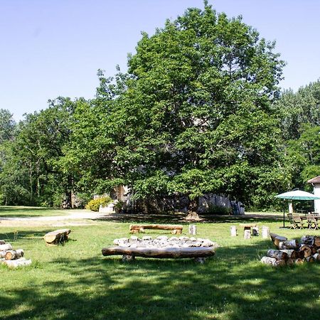 Villabry La Ferté-Saint-Cyr Kültér fotó